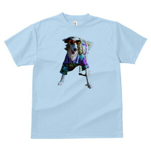 {]C TVc fB[X t@  t  vg JWA 킢 lԗp h ̃fUC ʔ AnVc {]C TOX