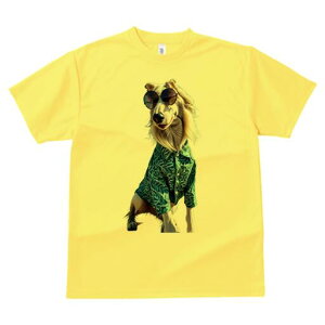 AtKnEh TVc fB[X t@  t  vg JWA 킢 lԗp h ̃fUC ʔ AnVc AtKnEh TOX