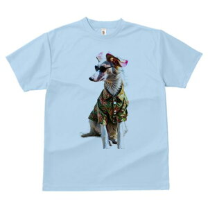 {]C TVc fB[X t@  t  vg JWA 킢 lԗp h ̃fUC ʔ AnVc {]C TOX