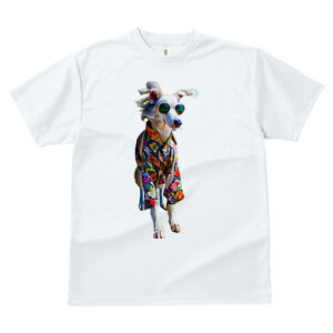 AtKnEh TVc fB[X t@  t  vg JWA 킢 lԗp h ̃fUC ʔ AnVc AtKnEh TOX