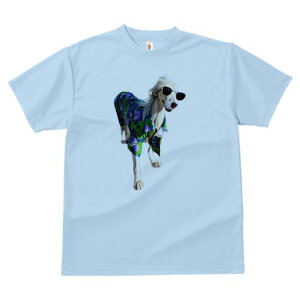 {]C TVc fB[X t@  t  vg JWA 킢 lԗp h ̃fUC ʔ AnVc {]C TOX