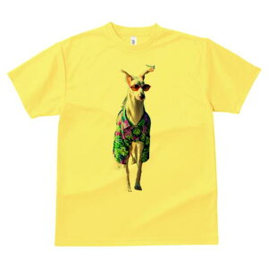 {]C TVc fB[X t@  t  vg JWA 킢 lԗp h ̃fUC ʔ AnVc {]C TOX  ][g