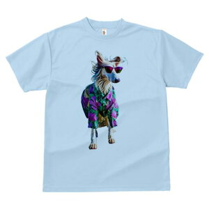 AtKnEh TVc fB[X t@  t  vg JWA 킢 lԗp h ̃fUC ʔ AnVc AtKnEh TOX