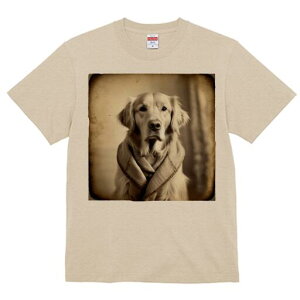 S[fgo[ TVc fB[X t@  t  vg JWA 킢 lԗp h ̃fUC ʔ XJ[t S[fgo[