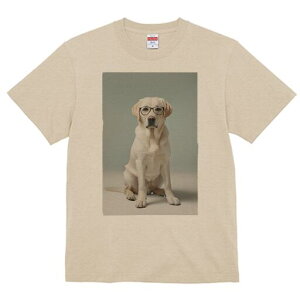 uh[go[ TVc Y LbY t@  t  vg JWA 킢 lԗp h ̃fUC ʔ Kl uh[go[