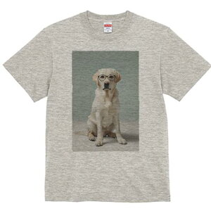 uh[go[ TVc Y LbY t@  t  vg JWA 킢 lԗp h ̃fUC ʔ Kl uh[go[