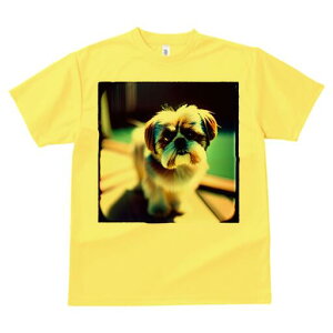 V[Y[ TVc fB[X t@  t  vg JWA 킢 lԗp h ̃fUC ʔ V[Y[