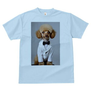 gCv[h TVc fB[X t@  t  vg JWA 킢 lԗp h ̃fUC ʔ lN^C gCv[h X[c