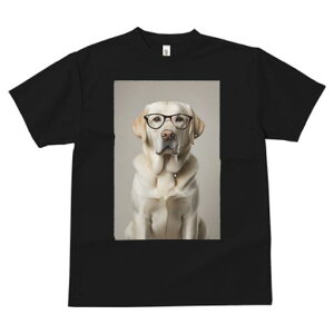 uh[go[ TVc fB[X t@  t  vg JWA 킢 lԗp h ̃fUC ʔ Kl uh[go[