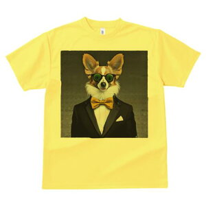 R[M[ TVc fB[X t@  t  vg JWA 킢 lԗp h ̃fUC ʔ lN^C R[M[ X[c ዾ