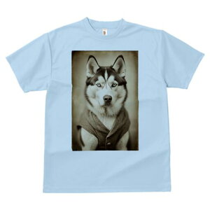 VxAnXL[ TVc fB[X t@  t  vg JWA 킢 lԗp h ̃fUC ʔ VxAnXL[