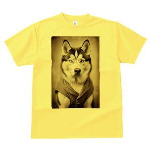 VxAnXL[ TVc fB[X t@  t  vg JWA 킢 lԗp h ̃fUC ʔ VxAnXL[