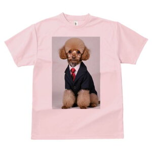 gCv[h TVc fB[X t@  t  vg JWA 킢 lԗp h ̃fUC ʔ X[c gCv[h lN^C rWlX tH[}