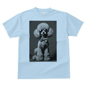 v[h TVc fB[X t@  t  vg JWA 킢 lԗp h ̃fUC ʔ TOX v[h lN^C 