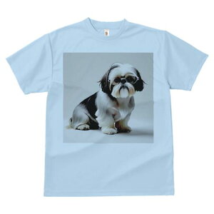 V[Y[ TVc Y LbY t@  t  vg JWA 킢 lԗp h ̃fUC ʔ Kl V[Y[