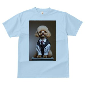 gCv[h TVc fB[X t@  t  vg JWA 킢 lԗp h ̃fUC ʔ X[c gCv[h lN^C rWlX tH[}