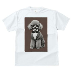 v[h TVc fB[X t@  t  vg JWA 킢 lԗp h ̃fUC ʔ Kl v[h lN^C Vc Z[^[