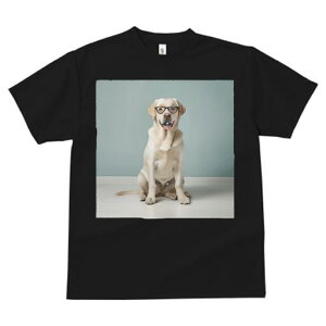 uh[go[ TVc Y LbY t@  t  vg JWA 킢 lԗp h ̃fUC ʔ Kl uh[go[