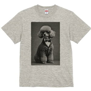 v[h TVc Y LbY t@  t  vg JWA 킢 lԗp h ̃fUC ʔ ^LV[h v[h lN^C Kl