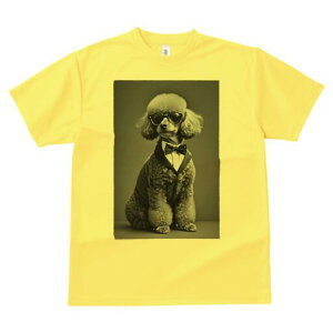 v[h TVc Y LbY t@  t  vg JWA 킢 lԗp h ̃fUC ʔ ^LV[h v[h lN^C Kl