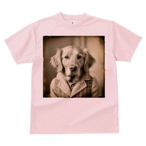 S[fgo[ TVc fB[X t@  t  vg JWA 킢 lԗp h ̃fUC ʔ g S[fgo[ Be[W 