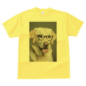 uh[go[ TVc fB[X t@  t  vg JWA 킢 lԗp h ̃fUC ʔ Kl uh[go[