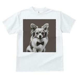 |jA,` TVc fB[X t@  t  vg JWA 킢 lԗp h ̃fUC ʔ Kl |jA,` lN^C