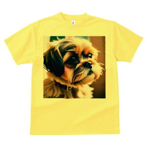 V[Y[ TVc fB[X t@  t  vg JWA 킢 lԗp h ̃fUC ʔ  V[Y[