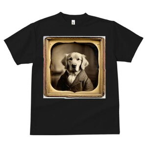 S[fgo[ TVc fB[X t@  t  vg JWA 킢 lԗp h ̃fUC ʔ ё S[fgo[ AeB[N g