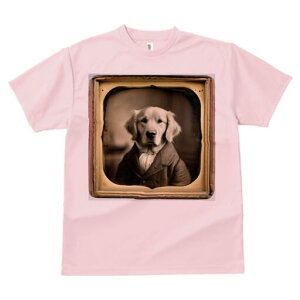 S[fgo[ TVc fB[X t@  t  vg JWA 킢 lԗp h ̃fUC ʔ ё S[fgo[ AeB[N g