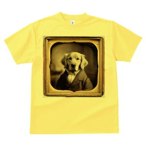 S[fgo[ TVc fB[X t@  t  vg JWA 킢 lԗp h ̃fUC ʔ ё S[fgo[ AeB[N g