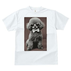 gCv[h TVc fB[X t@  t  vg JWA 킢 lԗp h ̃fUC ʔ TOX gCv[h lN^C