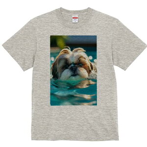 V[Y[ TVc fB[X t@  t  vg JWA 킢 lԗp h ̃fUC ʔ  V[Y[ v[