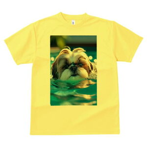 V[Y[ TVc fB[X t@  t  vg JWA 킢 lԗp h ̃fUC ʔ  V[Y[ v[