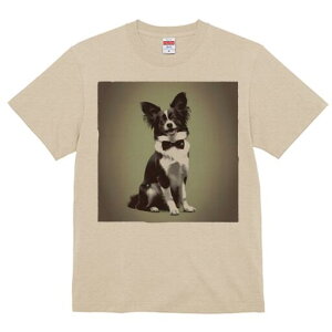 ` TVc fB[X t@  t  vg JWA 킢 lԗp h ̃fUC ʔ lN^C `