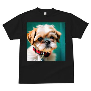 V[Y[ TVc fB[X t@  t  vg JWA 킢 lԗp h ̃fUC ʔ  V[Y[ ybg 