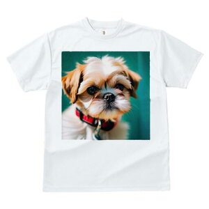 V[Y[ TVc fB[X t@  t  vg JWA 킢 lԗp h ̃fUC ʔ  V[Y[ ybg 