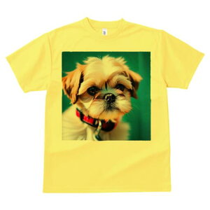 V[Y[ TVc fB[X t@  t  vg JWA 킢 lԗp h ̃fUC ʔ  V[Y[ ybg 