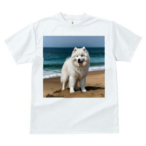 �T���G�h T�V���c ���f�B�[�X ���t�@�� ���� �t�� ���� �v�����g �J�W���A�� ���킢�� �l�ԗp ���h ���������̃f�U�C�� �ʔ� �C �T���G�h ���l