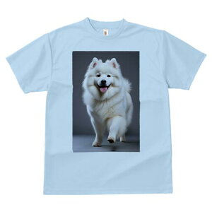 TGh TVc fB[X t@  t  vg JWA 킢 lԗp h ̃fUC ʔ TGh