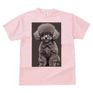 v[h TVc fB[X t@  t  vg JWA 킢 lԗp h ̃fUC ʔ Kl v[h lN^C