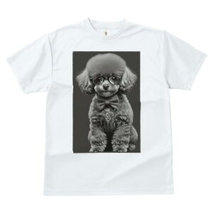 v[h TVc fB[X t@  t  vg JWA 킢 lԗp h ̃fUC ʔ Kl v[h lN^C