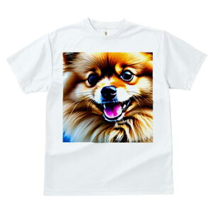 |jA TVc fB[X t@  t  vg JWA 킢 lԗp h ̃fUC ʔ |jA