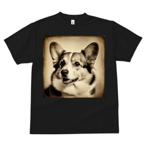 R[M[ TVc fB[X t@  t  vg JWA 킢 lԗp h ̃fUC ʔ g R[M[ Be[W