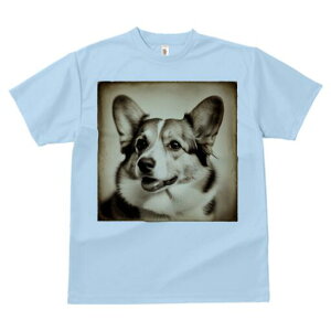 R[M[ TVc fB[X t@  t  vg JWA 킢 lԗp h ̃fUC ʔ g R[M[ Be[W