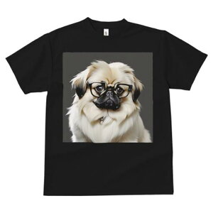 yLj[Y TVc fB[X t@  t  vg JWA 킢 lԗp h ̃fUC ʔ Kl yLj[Y