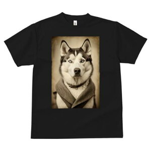 VxAnXL[ TVc fB[X t@  t  vg JWA 킢 lԗp h ̃fUC ʔ VxAnXL[