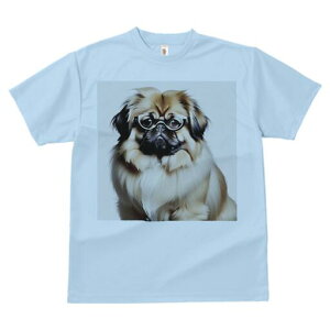 yLj[Y TVc fB[X t@  t  vg JWA 킢 lԗp h ̃fUC ʔ Kl yLj[Y