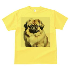 yLj[Y TVc fB[X t@  t  vg JWA 킢 lԗp h ̃fUC ʔ Kl yLj[Y