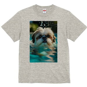 V[Y[ TVc fB[X t@  t  vg JWA 킢 lԗp h ̃fUC ʔ  V[Y[ Ԃ